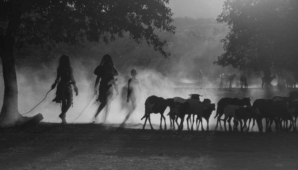 Simba children herding cattle from Mei Shi