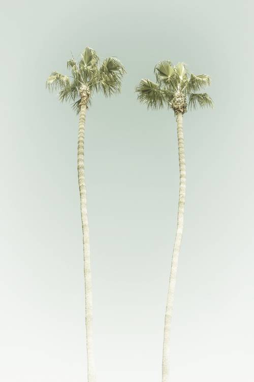 Minimalist idyll with palm trees on the beach | Vintage  from Melanie Viola