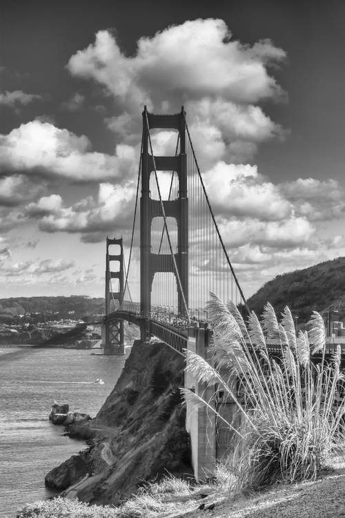 SAN FRANCISCO Golden Gate Bridge from Melanie Viola