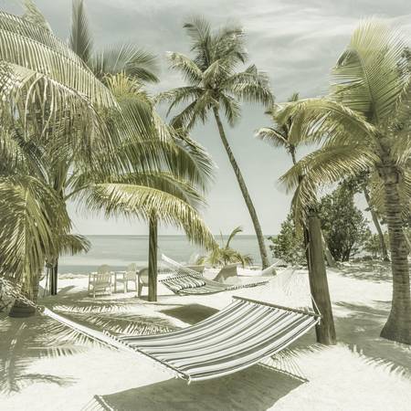 FLORIDA Heavenly Place | Vintage