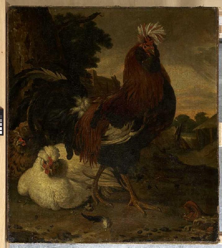 Hahn und zwei Hennen. from Melchior de Hondecoeter