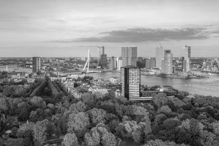 Abendsonne in Rotterdam schwarz-weiß