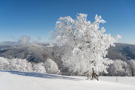 Winter auf dem Schauinsland im Schwarzwald