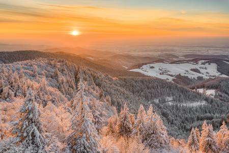 Winterabend im Schwarzwald