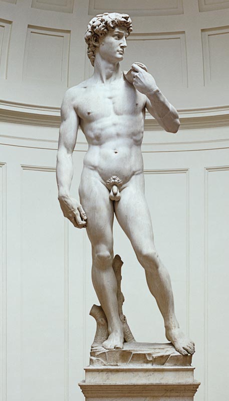 David from Michelangelo Buonarroti