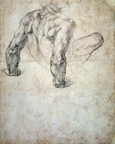 W.63r Study of a male nude, leaning back on his hands cil on from Michelangelo Buonarroti