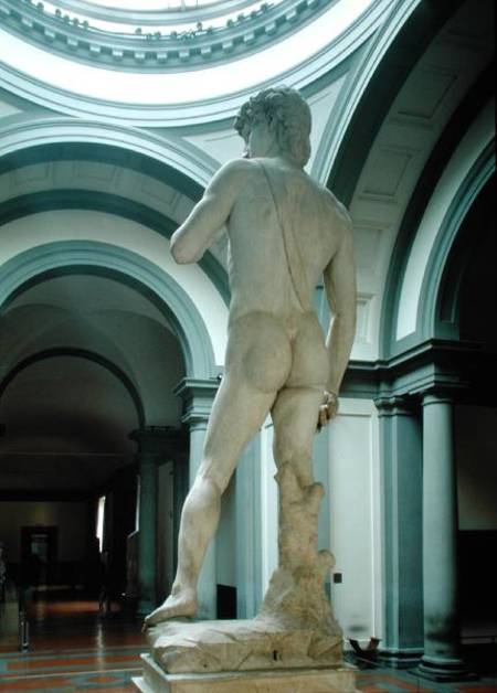 David, view from behind from Michelangelo Buonarroti