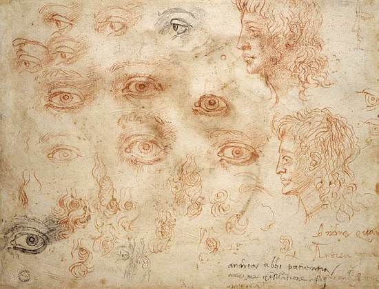 Studies of Two Heads, c.1525 from Michelangelo Buonarroti
