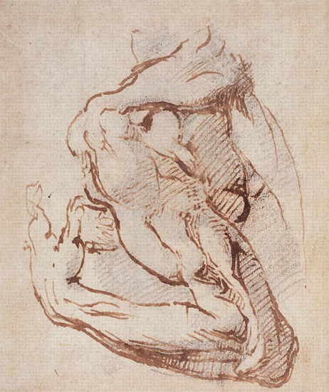 Study of an Arm Inv.1859/5/14/819 (W.49) from Michelangelo Buonarroti