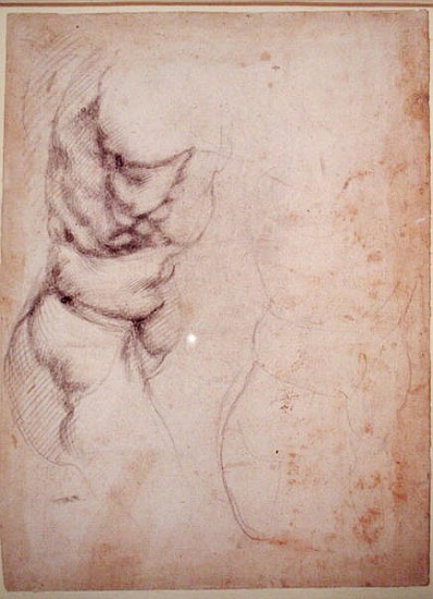 Study of torso and buttock from Michelangelo Buonarroti