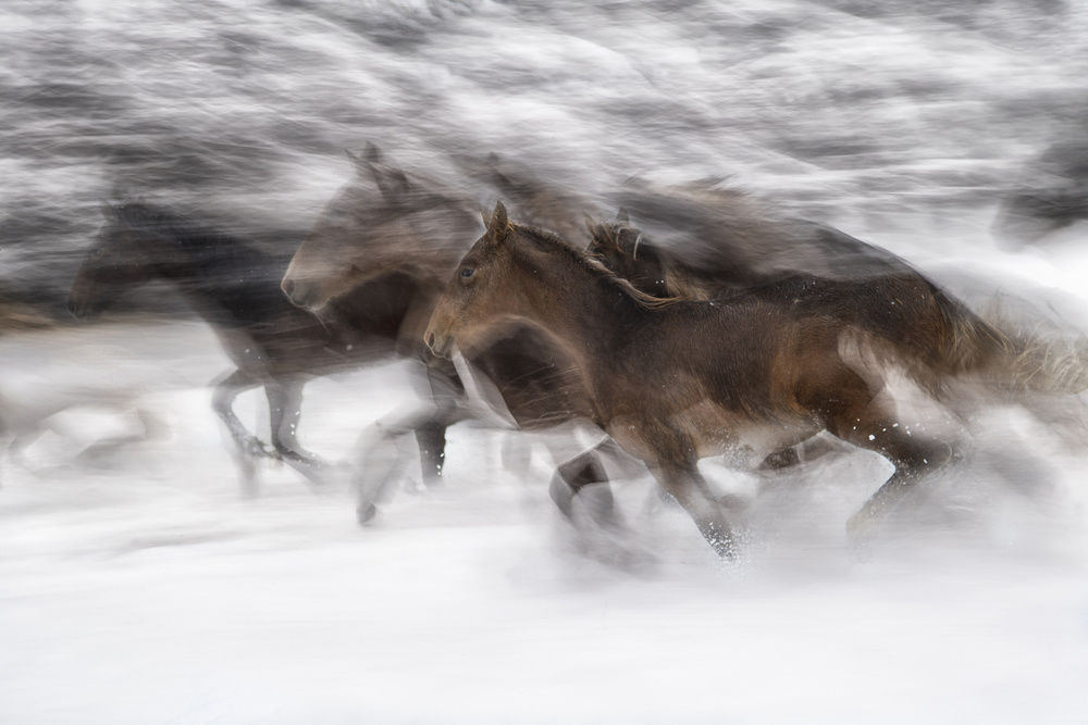 winter gallop from Milan Malovrh