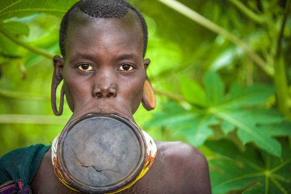 Porträt Frau mit Lippenteller aus dem Suri / Surma Stamm in Omo Valley, Äthiopien, Afrika from Miro May