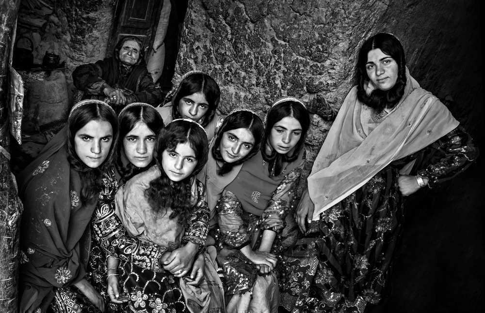 Eight Lady from Mohammadreza Momeni