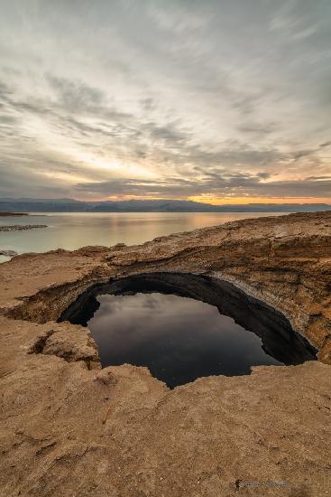 The Dead Sea Swallow