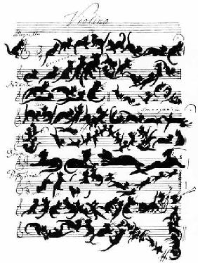 Katzen-Symphonie