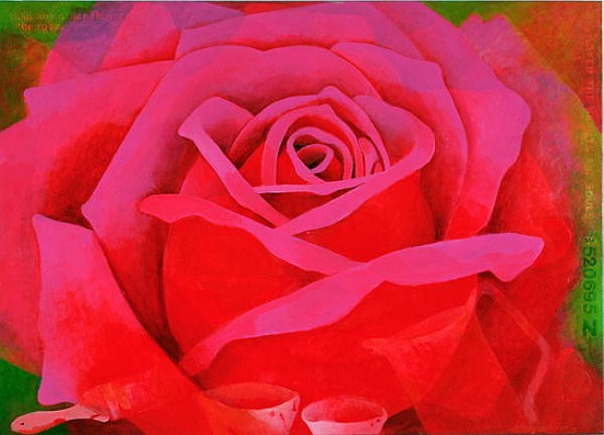 The Rose, 1995 (acrylic on canvas)  from Myung-Bo  Sim