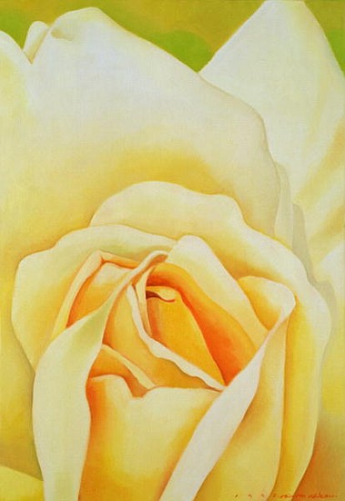 The Rose, 1995 (oil on canvas)  from Myung-Bo  Sim