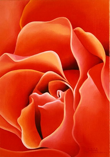 The Rose, 2003 (oil on canvas)  from Myung-Bo  Sim