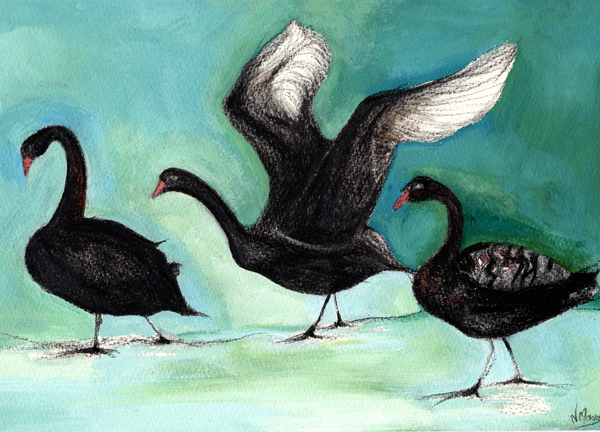 A ballet of Black Swans from Nancy Moniz Charalambous