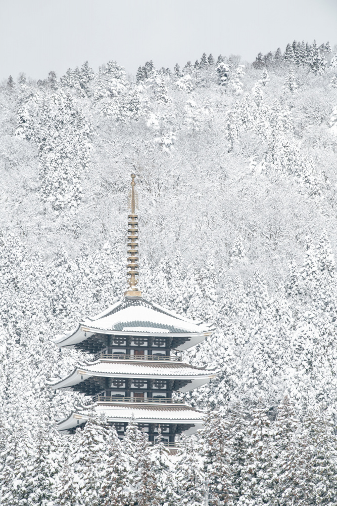 Tower of Winter from Naoya Yoshida