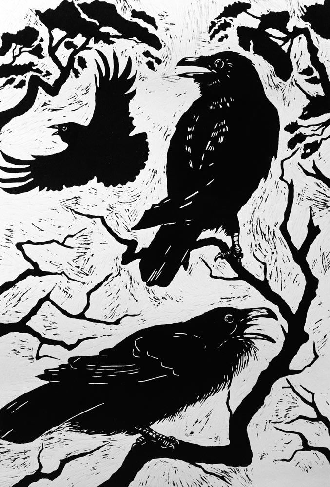 Ravens, 1998 (woodcut)  from Nat  Morley