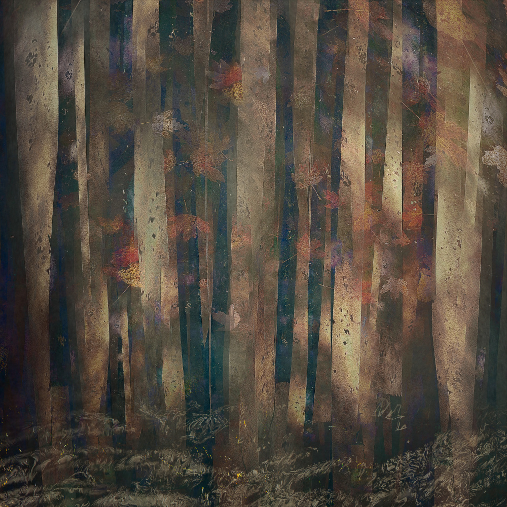 Forest abstract from Nel Talen