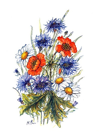 Cornflower, Poppy and Ox-eye Daisy (w/c on paper)  from Nell  Hill