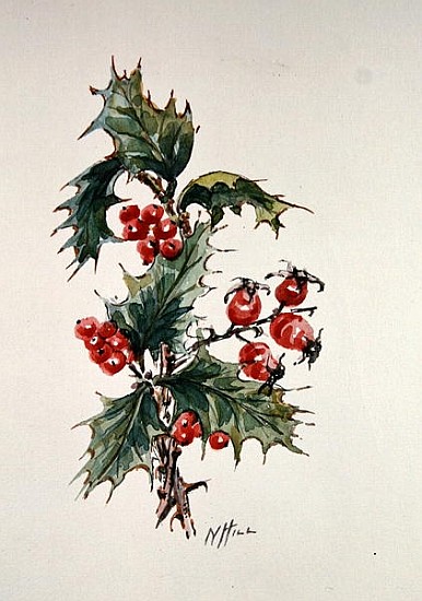 Holly and rosehips  from Nell  Hill