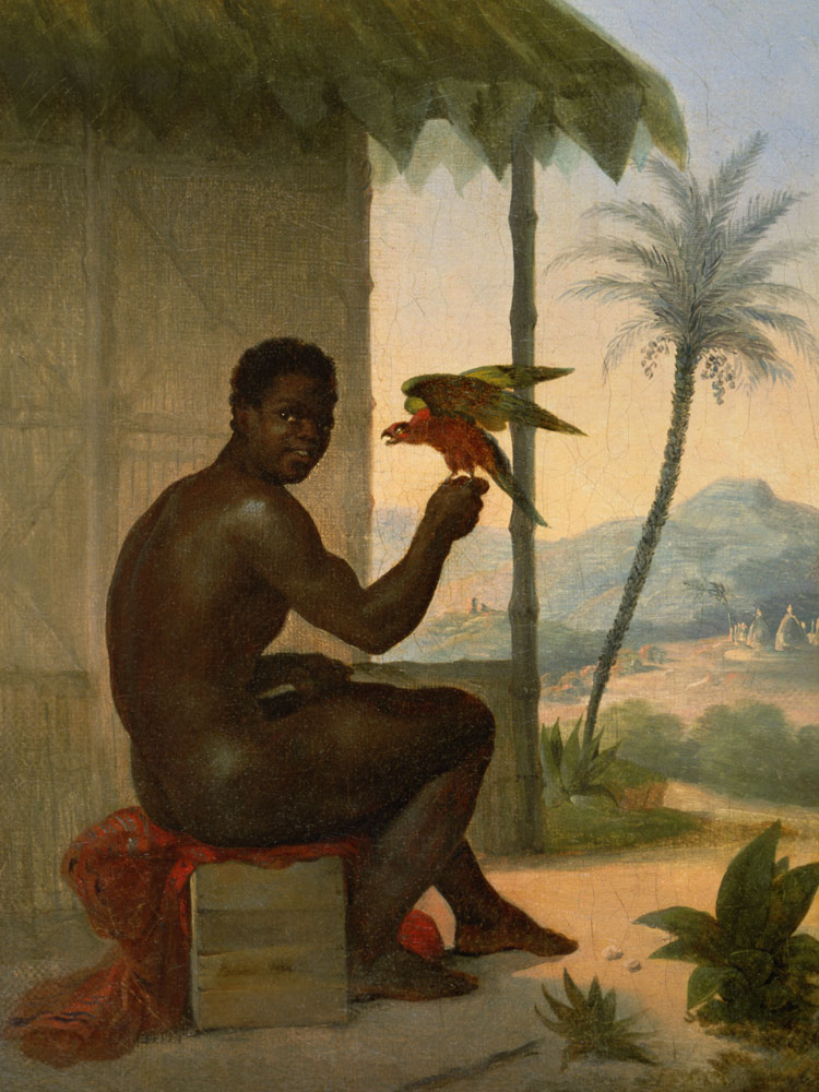 Brazilian negro with Tropical Bird from Nicolas Antoine Taunay