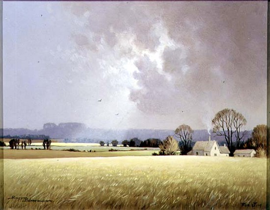 Autumn Sunlight, 1982 (oil on canvas)  from Ninetta  Butterworth