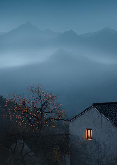 Persimmon tree and room lights