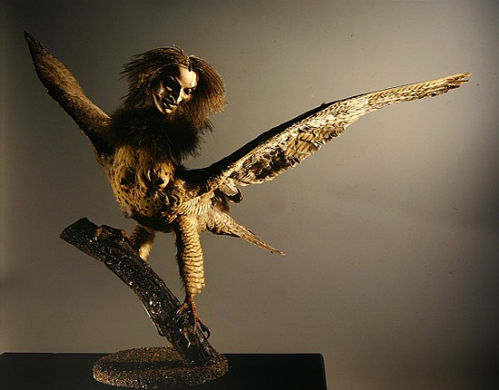 A Harpy from 