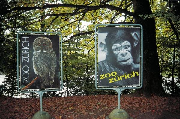 Animal signboards (photo)  from 