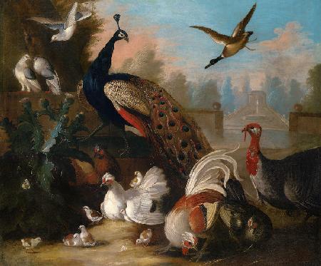 A Peacock And Other Birds In An Ornamental Landscape Attributed To Marmaduke Craddock (C