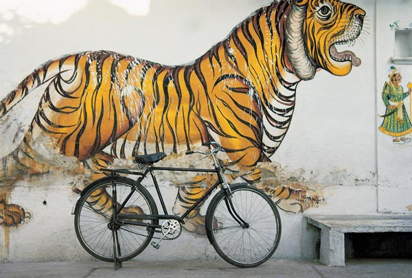 Bicycle at wall painting of tiger , Udaipur, Rajasthan, India (photo)  from 
