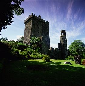 Blarney Castle, near Cork