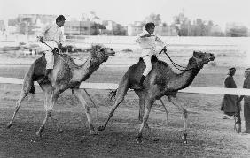 Camel race in Saudi Arabia in honour of Queen Elizabeth II's visit to to the Middle East