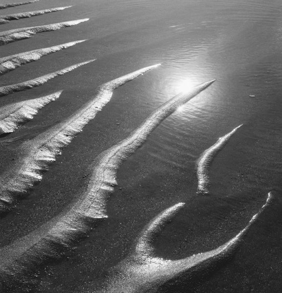 Creepers designs on sand in Porbandar area of Gujarat (b/w photo)  from 