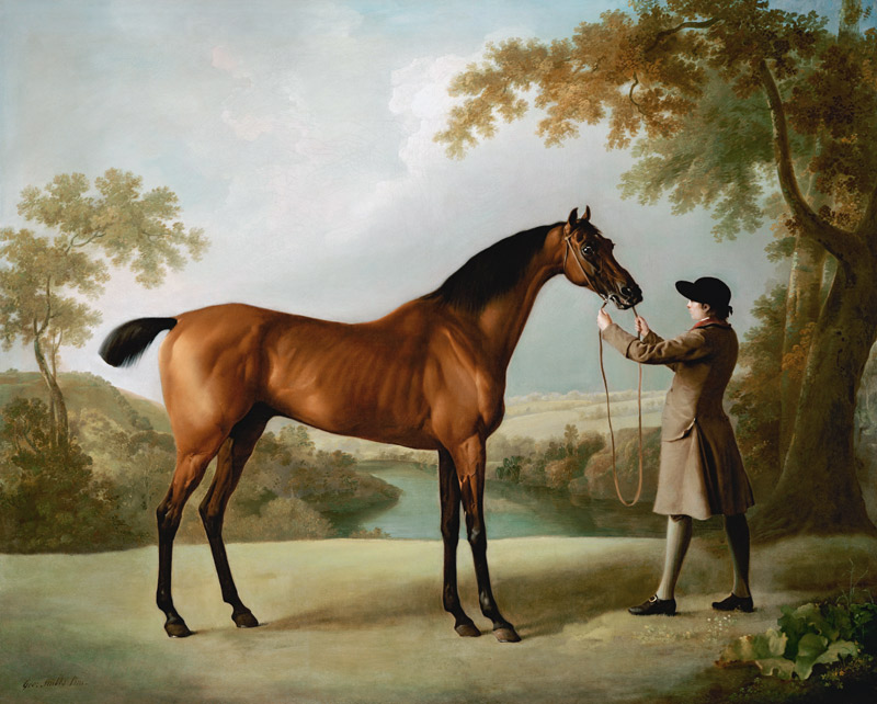 Racehorse Held By Groom Across Vast Landscape - Tristram Shandy from 