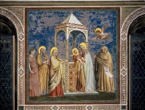 Presentation in the Temple / Giotto