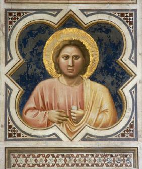 Giotto / Male Head / Padua