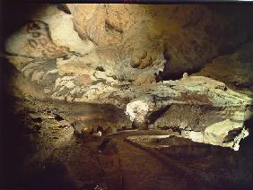 Höhle von Lascaux,  Saal der Stiere