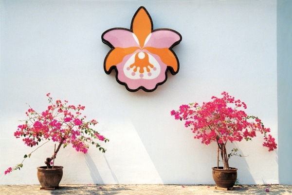 Logo of hotel placed above two bougainvillea pots supposed orchid Pattaya (photo)  from 
