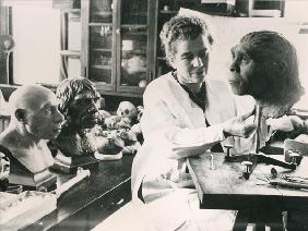 Lucile Swan recreating a model of the skull of the Peking Man Nelly (b/w photo) 