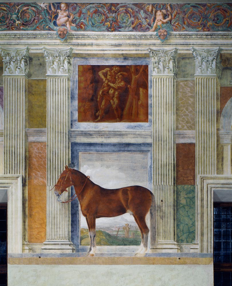 Mantua, Palazzo del Te, Sala dei Cavalli from 