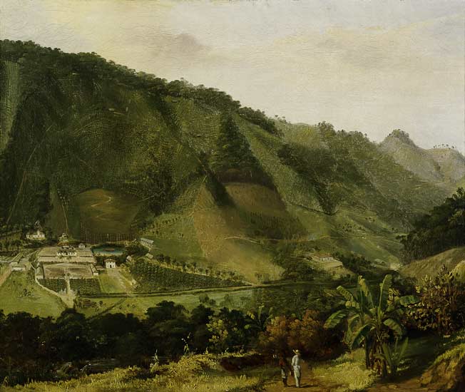 Martinique, landscape / Painting C19th from 