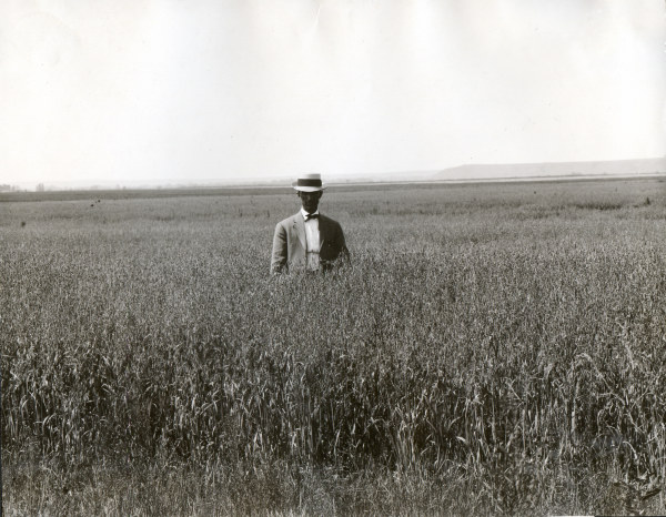 Man in oat field / South Dakota / Photo from 