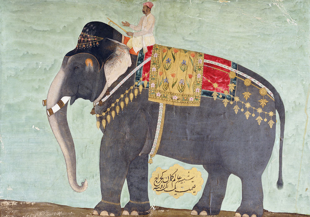 Portrait Of The Elephant  ''Alam-Guman Gajraj'' from 