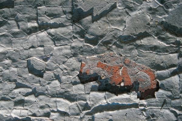 Paint on cracked wall (photo)  from 