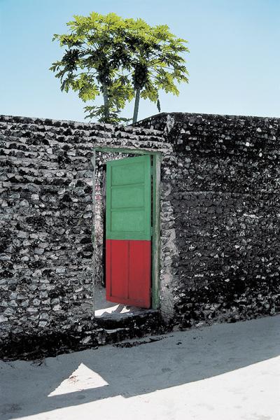 Red green door (photo) 